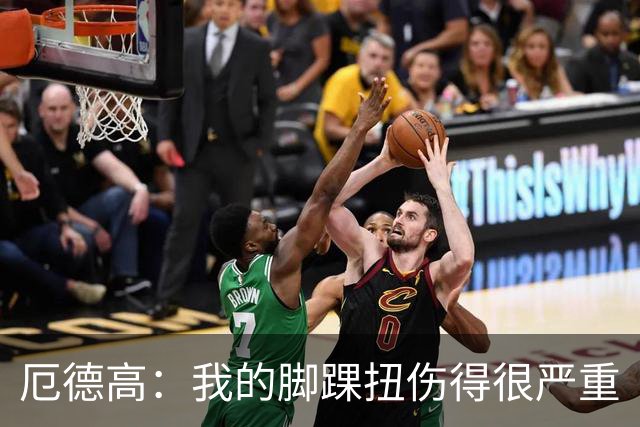 厄德高：我的脚踝扭伤得很严重